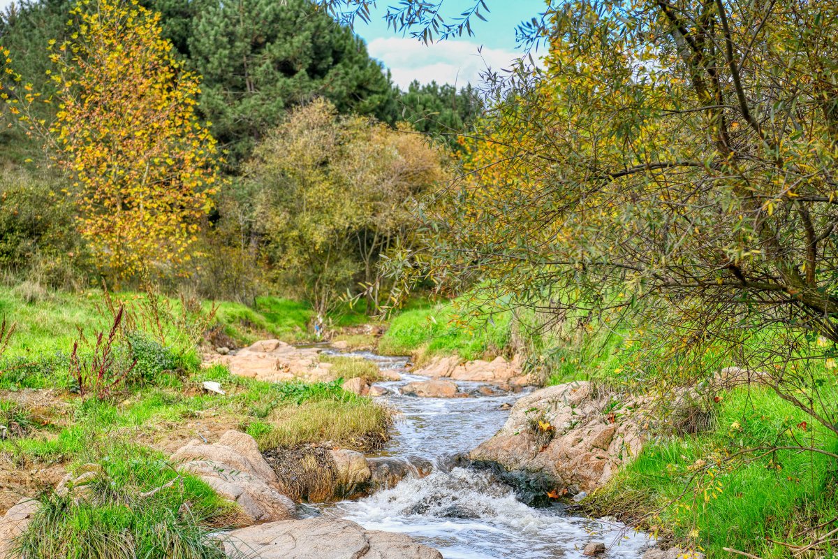 Çayırova