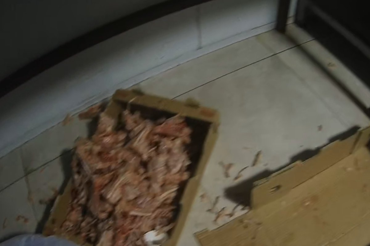 Çayırova Zabıtası, halk sağlığını hiçe sayan işletmeyi mühürledi